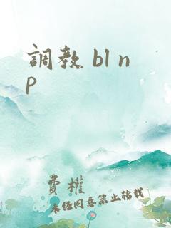 调教 bl np