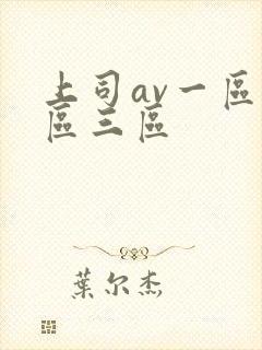 上司av一区二区三区