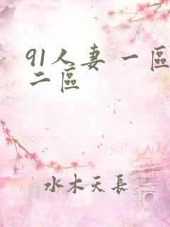 91人妻 一区二区