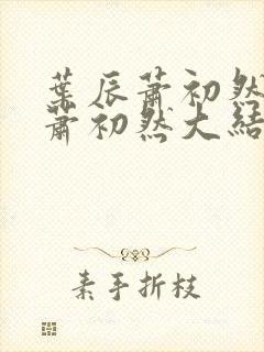 叶辰萧初然叶辰萧初然大结局看完