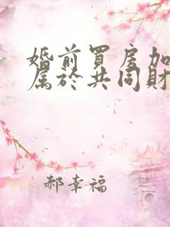 婚前买房加名字属于共同财产