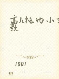 高h纯肉小说调教