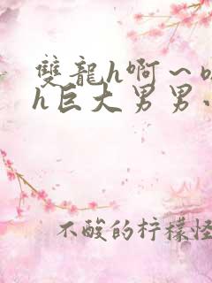 双龙h啊～嗯啊h巨大男男小说