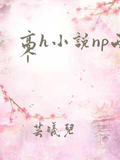高h小说np两个