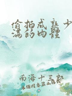 偷拍成熟少妇丰满的肉体