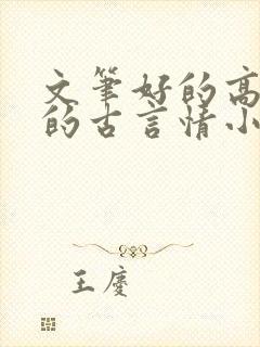 文笔好的高质量的古言情小说推荐