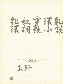 牝奴穿环乳环蒂环调教小说