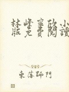 林峰宁欣小说正版免费阅读全文