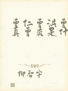 曹仁曹洪曹休曹真曹爽是什么关系