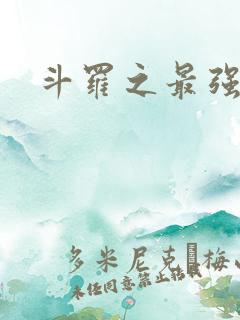 斗罗之最强辅助