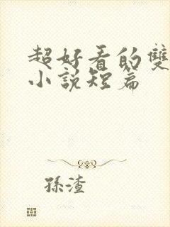 超好看的双男主小说短篇