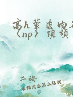 高h荤爽肉欲文〈np〉视频