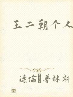 王二朝个人简介