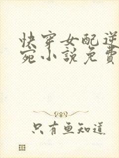 快穿女配逆袭宁宛小说免费阅读全文