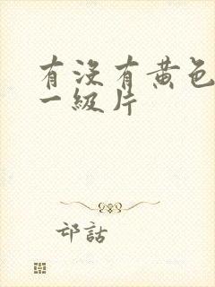 有没有黄色录像一级片