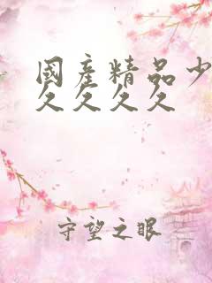 国产精品少妇久久久久久