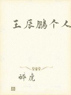 王辰鹏个人简介