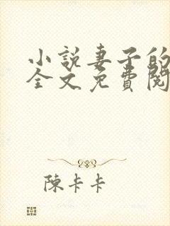 小说妻子的秘密全文免费阅读全文