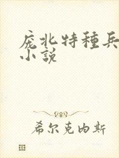 庞北特种兵穿越小说