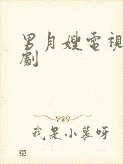 男月嫂电视连续剧