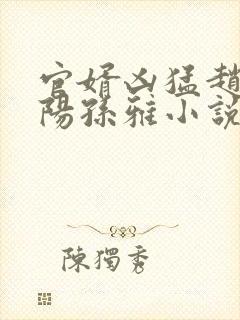 官婿凶猛赵阳朝阳孙雅小说在线阅读