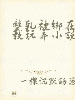 双乳被绑在床调教玩弄小说