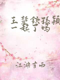 王楚钦孙颖莎在一起了吗