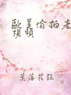 欧美偷拍老熟妇视频