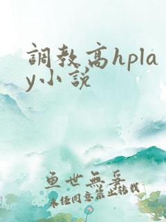 调教高hplay小说