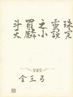 斗罗之灵珠神剑天麟小说完整版txt