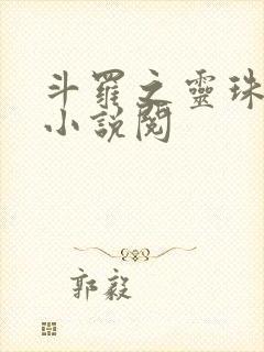 斗罗之灵珠神剑小说阅
