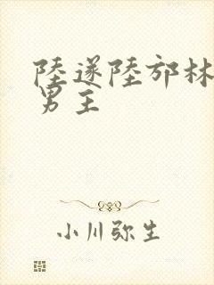 陆遂陆邡林照双男主