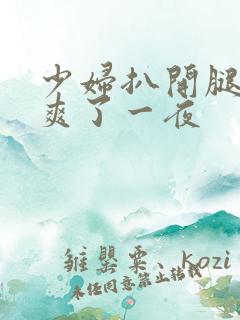 少妇扒开腿让我爽了一夜