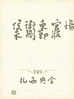 侯卫东官场笔记未删节版