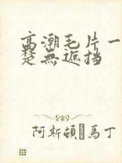 高潮毛片一清二楚无遮挡