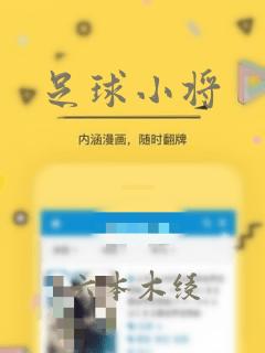 足球小将