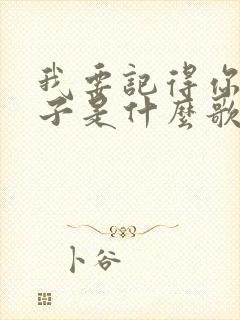 我要记得你的样子是什么歌里面的