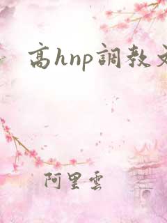 高hnp调教文