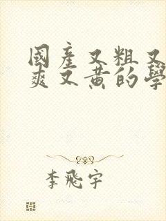 国产又粗又猛又爽又黄的学生视频