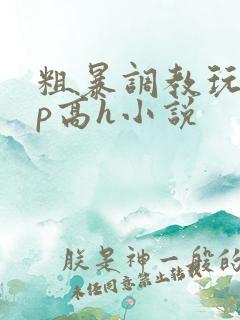 粗暴调教玩弄np高h小说