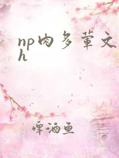 np肉多荤文高h