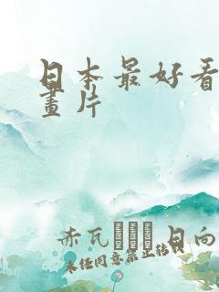 日本最好看的动画片