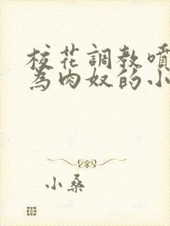 校花调教喷水沦为肉奴的小说