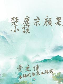 楚尘宋颜是哪本小说