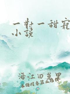 一对一甜宠短篇小说