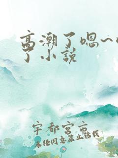 高潮了嗯~喷水了小说