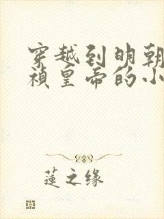 穿越到明朝当崇祯皇帝的小说