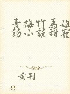 青梅竹马姐弟恋的小说甜宠文