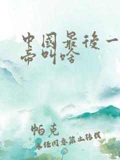 中国最后一位皇帝叫啥