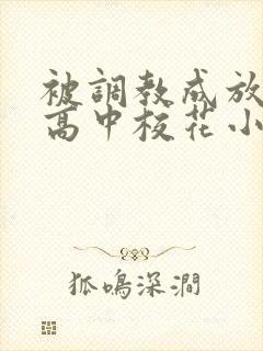 被调教成放荡的高中校花小说